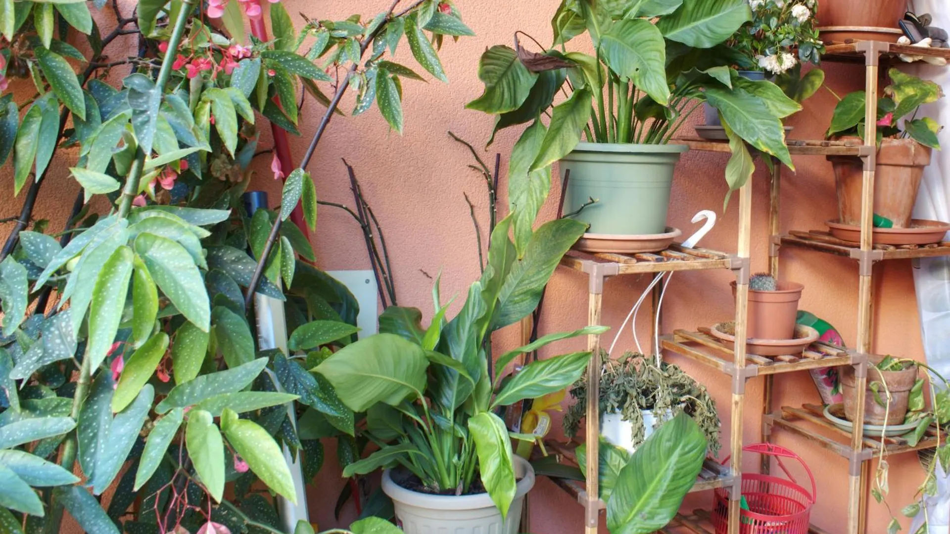 Relax Con Giardino A 8 Minuti A Piedi Dal Mare Apartment Loano Italy